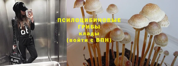 метадон Нея