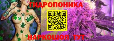 мдпв Ирбит